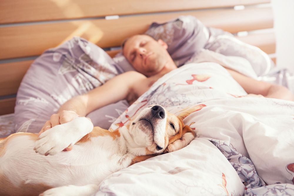 sleeping with your pet