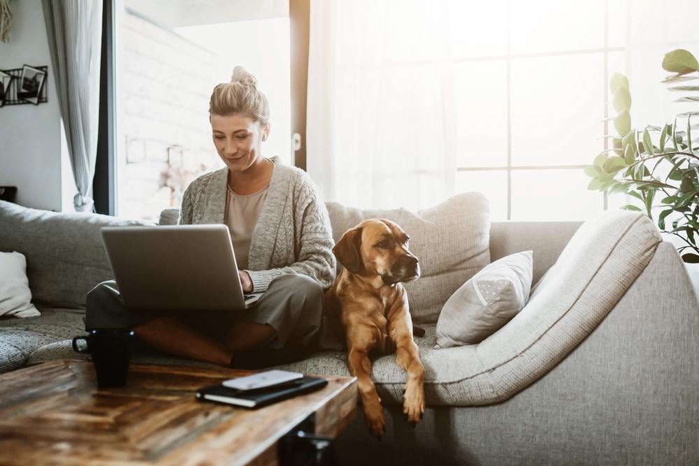 combat loneliness with dog