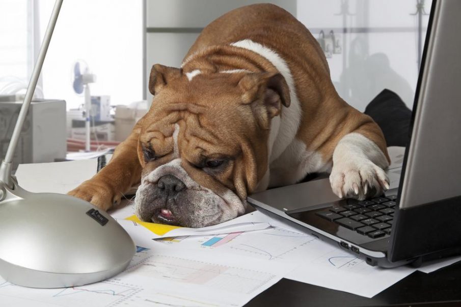 bernie at a desk