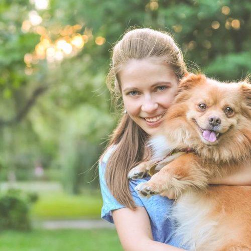 homeless pets with new owner