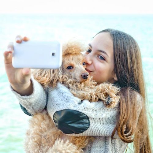 dog Instagram rich list