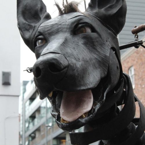 Liverpool dog friendly puppet