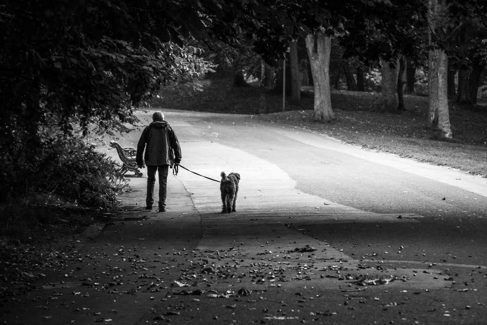 Sefton Park dog friendly liverpool