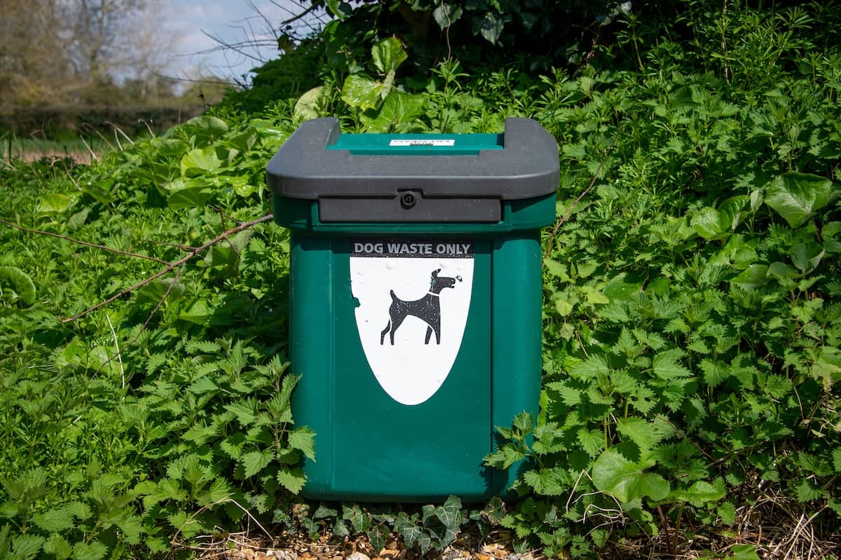 dog poo bin