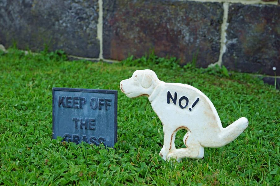 no dog fouling sign